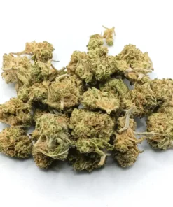Frosted Gelato AA