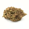 Northern Lights
