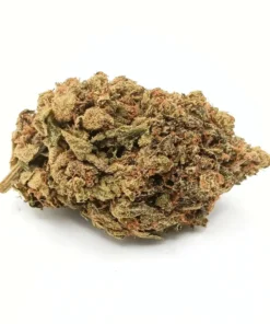 Northern Lights