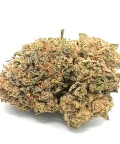 Tom Ford Pink Kush