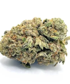 Bruce Banner