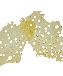 Gummy Buns Shatter